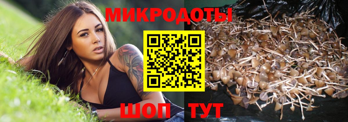 Псилоцибиновые грибы прущие грибы  Вход с VPN  Псилоцибиновые грибы прущие грибы  где купить наркоту  Кувандык 